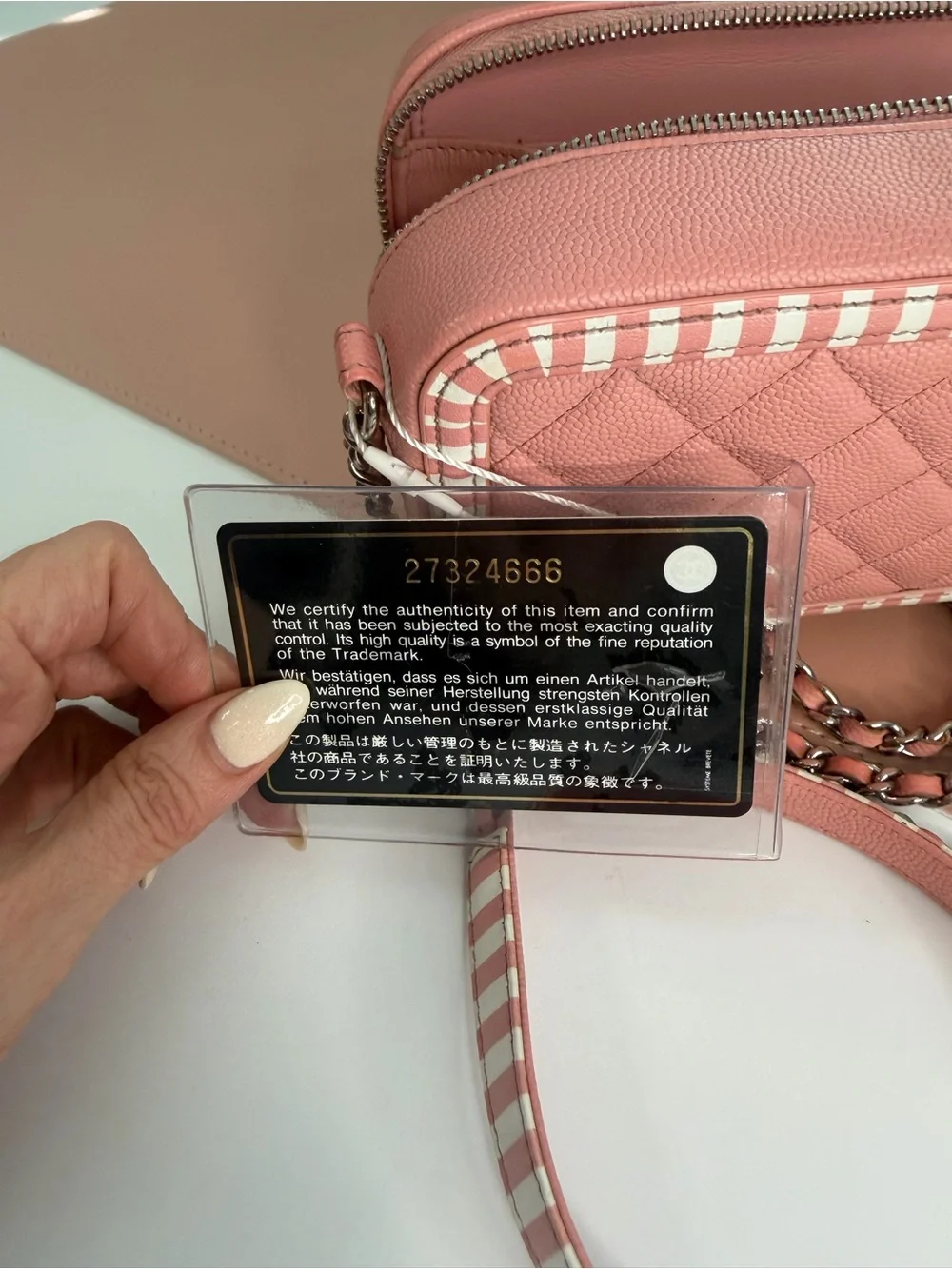 Chanel Pink Caviar Leather Striped La Pausa Camera Bag Case Crossbody Black Card